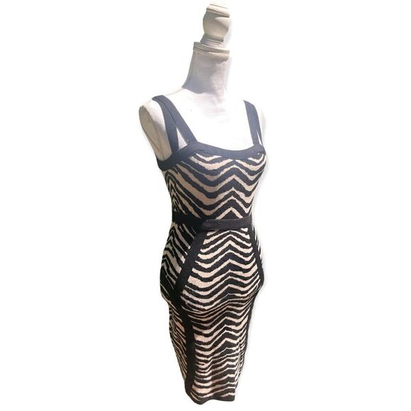 FOREVER 21 ANIMAL PRINT ZEBRA KNIT BODYCON DRESS M - Picture 2 of 11